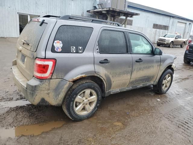 2009 Ford Escape XLT