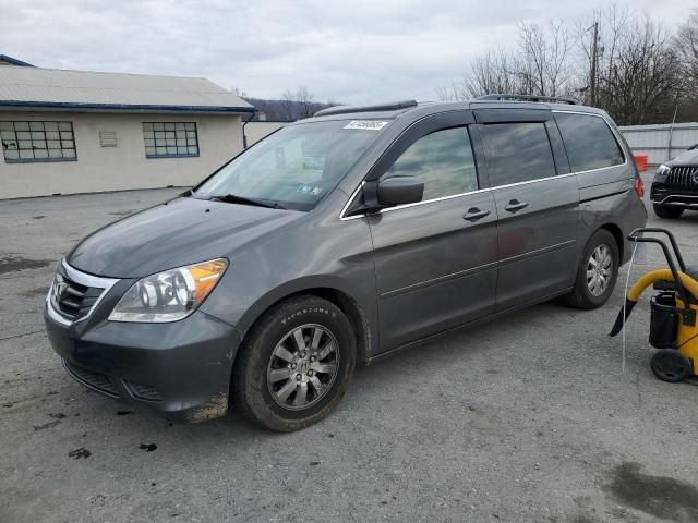 2008 Honda Odyssey EXL