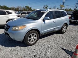 Salvage cars for sale at Riverview, FL auction: 2008 Hyundai Santa FE SE