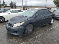 Salvage cars for sale from Copart Rancho Cucamonga, CA: 2010 Toyota Corolla Base