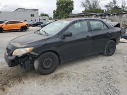 Salvage cars for sale at Opa Locka, FL auction: 2010 Toyota Corolla Base