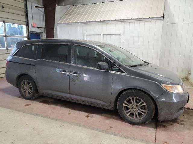 2013 Honda Odyssey EXL