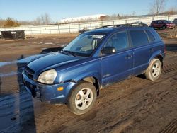 Salvage cars for sale at Columbia Station, OH auction: 2006 Hyundai Tucson GL