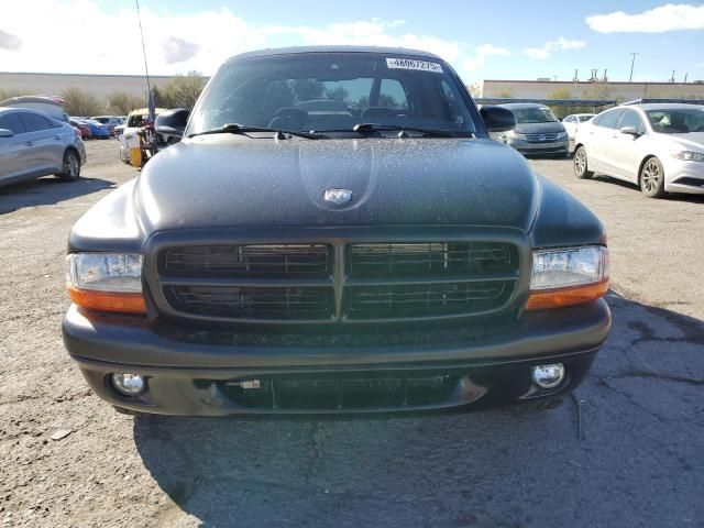 2000 Dodge Dakota Quattro