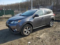 Salvage cars for sale at Baltimore, MD auction: 2015 Toyota Rav4 XLE