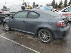 2010 Scion TC