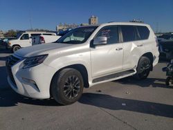 Salvage cars for sale at New Orleans, LA auction: 2020 Lexus GX 460 Premium