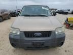 2007 Ford Escape XLS