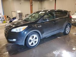 Salvage cars for sale at Appleton, WI auction: 2013 Ford Escape SE