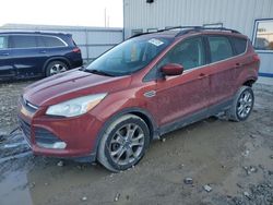 Salvage cars for sale at Appleton, WI auction: 2015 Ford Escape SE