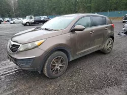 Salvage cars for sale at Graham, WA auction: 2011 KIA Sportage LX