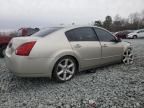 2005 Nissan Maxima SE