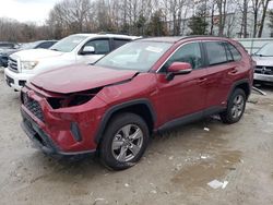 Salvage cars for sale at North Billerica, MA auction: 2025 Toyota Rav4 XLE