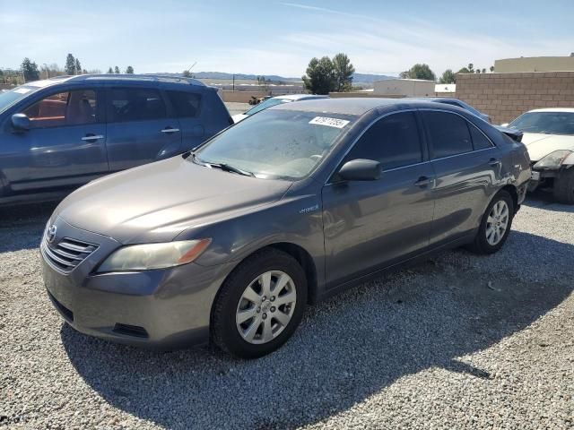 2007 Toyota Camry Hybrid