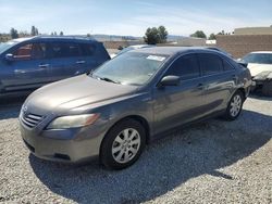 Toyota Camry Hybrid salvage cars for sale: 2007 Toyota Camry Hybrid