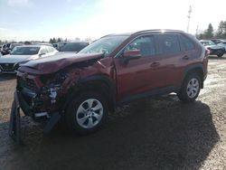 Salvage cars for sale from Copart London, ON: 2020 Toyota Rav4 LE