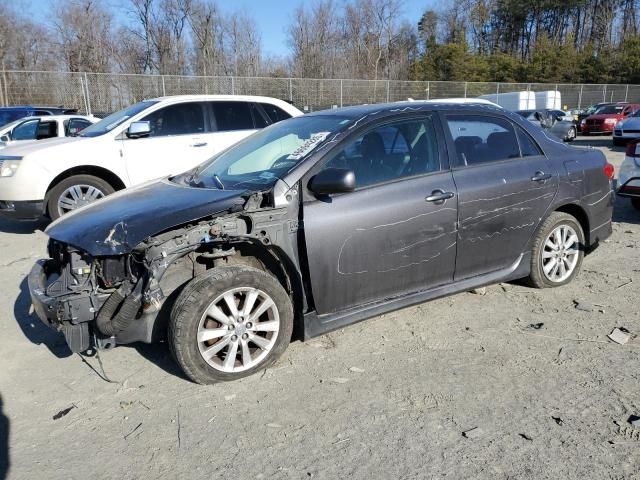 2009 Toyota Corolla Base