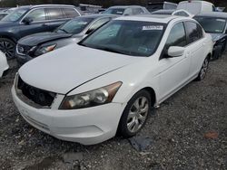 Salvage cars for sale at Brookhaven, NY auction: 2009 Honda Accord EXL