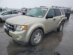 Salvage cars for sale at Central Square, NY auction: 2012 Ford Escape XLT