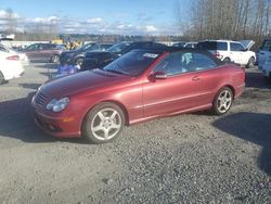 Salvage cars for sale at Arlington, WA auction: 2005 Mercedes-Benz CLK 500