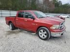 2010 Dodge RAM 1500