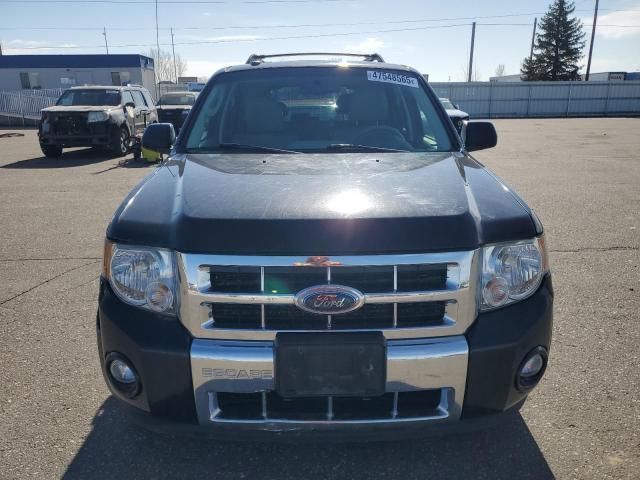 2009 Ford Escape Hybrid