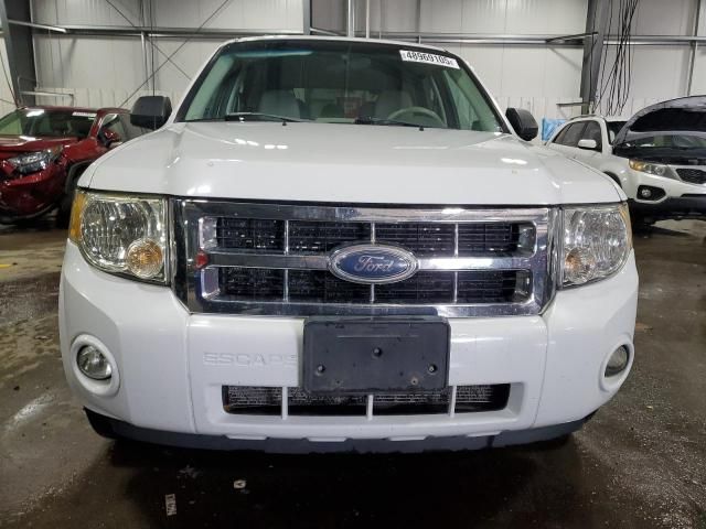 2008 Ford Escape XLT