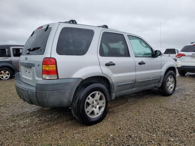 2005 Ford Escape XLT