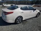 2013 KIA Optima Hybrid