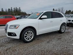 Salvage cars for sale at Bowmanville, ON auction: 2016 Audi Q5 Premium Plus