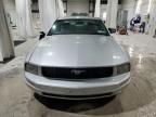 2006 Ford Mustang