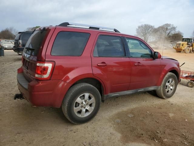 2009 Ford Escape Limited