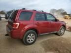 2009 Ford Escape Limited