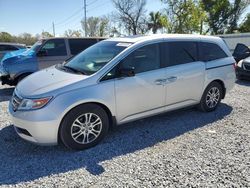 Honda salvage cars for sale: 2011 Honda Odyssey EXL