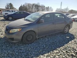 Salvage cars for sale at Mebane, NC auction: 2010 Toyota Corolla Base