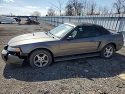 Salvage cars for sale at London, ON auction: 2002 Ford Mustang