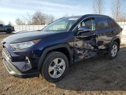 Salvage cars for sale at London, ON auction: 2019 Toyota Rav4 XLE