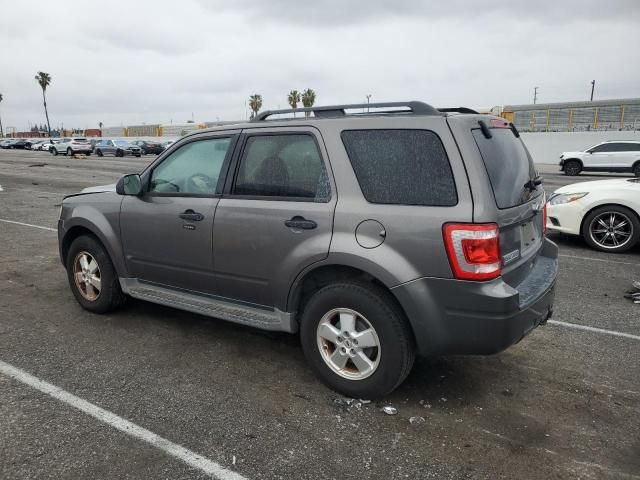 2010 Ford Escape XLT