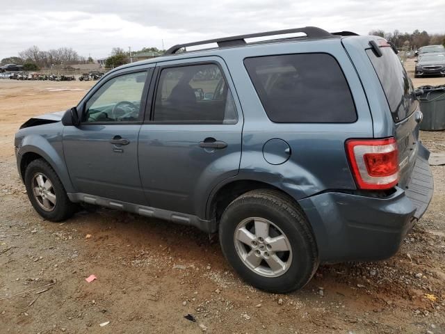 2010 Ford Escape XLT