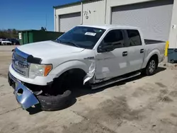 Salvage trucks for sale at Gaston, SC auction: 2013 Ford F150 Supercrew