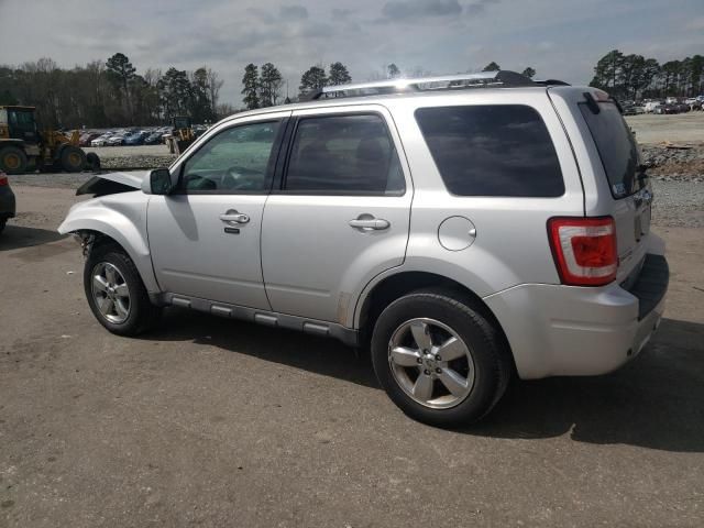 2011 Ford Escape Limited