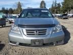 2008 Honda Odyssey EXL