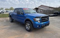 Salvage trucks for sale at Cartersville, GA auction: 2014 Ford F150 Supercrew