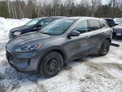 Clean Title Cars for sale at auction: 2021 Ford Escape SE