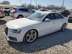 Salvage cars for sale at Columbus, OH auction: 2013 Audi S4 Premium Plus