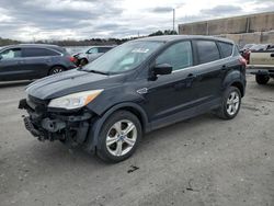 Salvage SUVs for sale at auction: 2013 Ford Escape SE