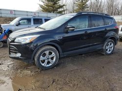 Salvage cars for sale at Davison, MI auction: 2013 Ford Escape SEL