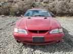 1998 Ford Mustang Cobra