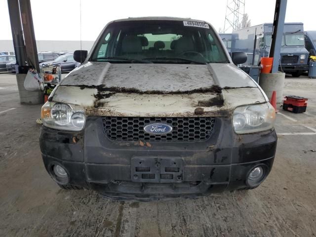 2005 Ford Escape XLT