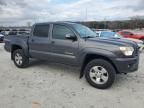 2015 Toyota Tacoma Double Cab Prerunner